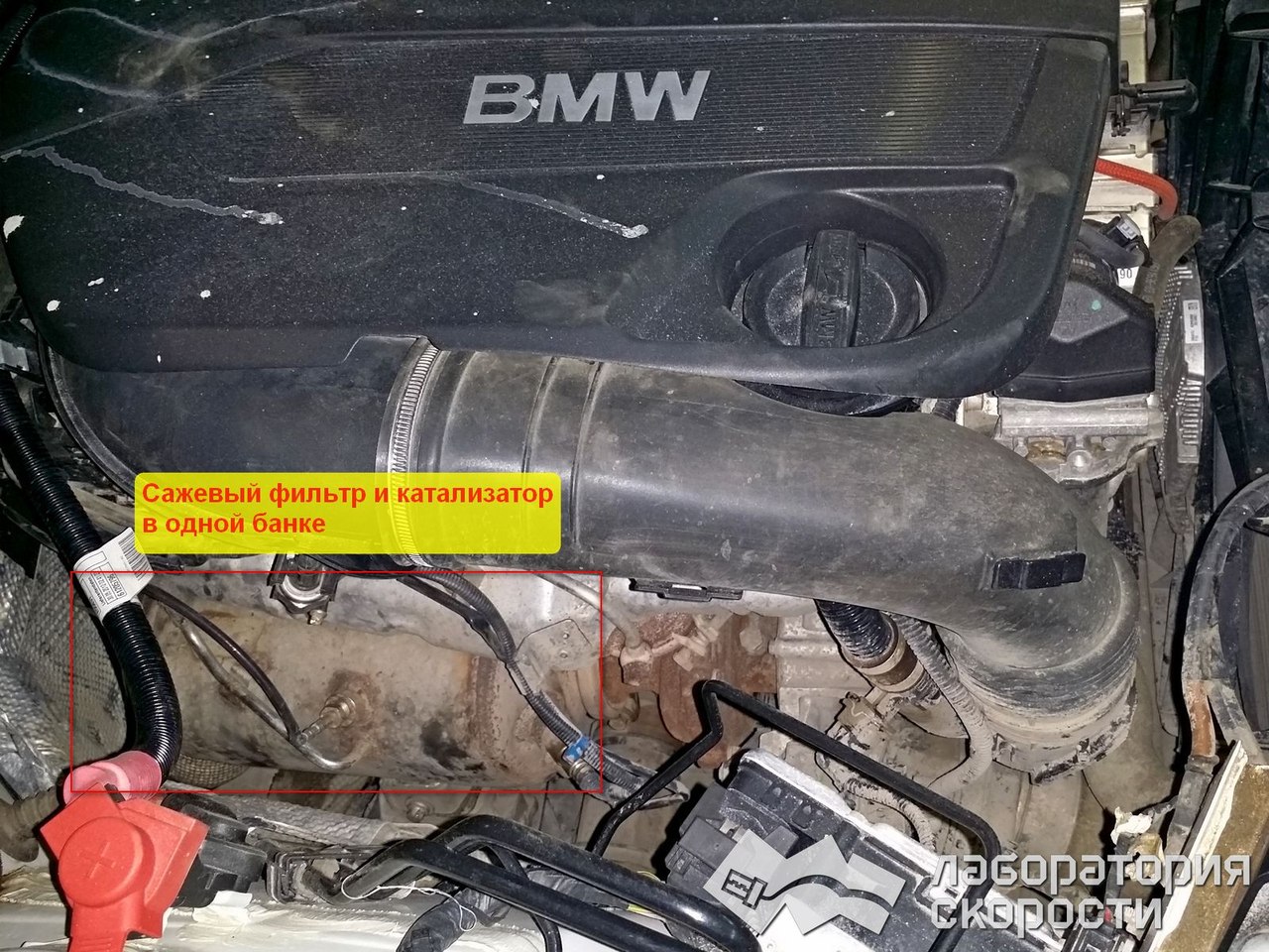 Чип-тюнинг BMW X3 F25 3.0d. УДаление сажевого фильтра и ЕГР. Отчет