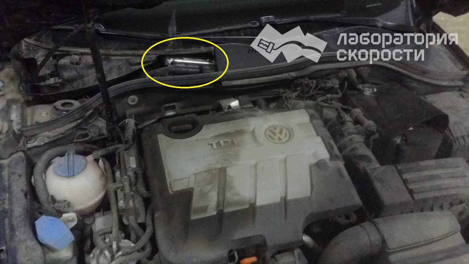 Чип-тюнинг VW Passat Blue TDI. Удаление/отключение AdBlue. Отчет